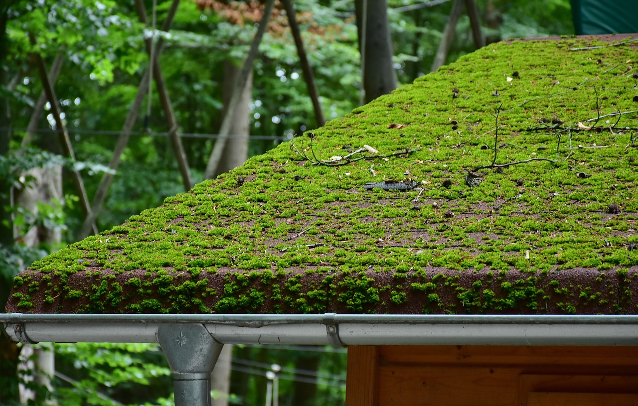 roof, brick, moss-2490864.jpg